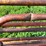 #4460-•-(3)-cattle-gates-image-7