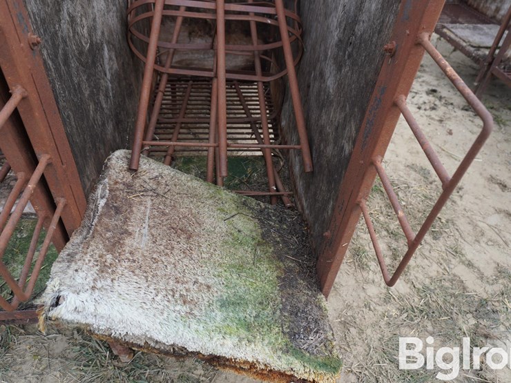raised-calf-crates-image-12