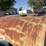 #5084-•-500-gallon-waste-oil-barrel-image-2