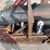 #8624-•-carry-away-conveyor-unit-(maq)-image-53