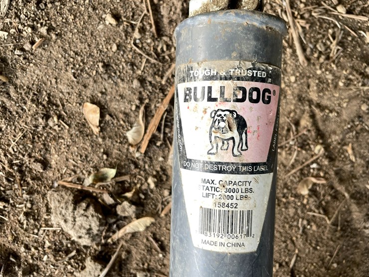 #4489-•-bulldog-jack-image-3
