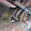 caterpillar-d4d-image-7