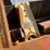 #8626-•-conveyor-unit-(maq)-image-39