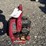 #134-•-troy-bilt-blower---2-cycle---tb430-image-3