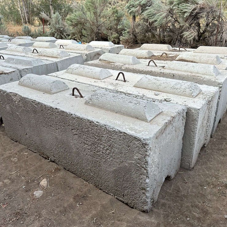 Ecology Blocks (F)