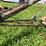 #4475-•-allied-auger-elevator-image-18