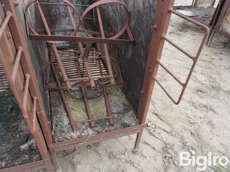 raised-calf-crates-image-19