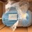 2-unused-1-hp-3-phase-electric-motors-image-2
