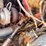ford-f800-image-63