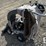 white-yard-boss-950-chipper/-vac-136-image-5