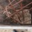 raised-calf-crates-image-11