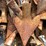 #4446-•-pallet-of-used-chisel-teeth-image-5