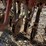 international-10-image-19