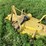 john-deere-272-image-2