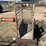 ww-800-livestock-scale-image-6