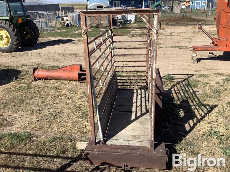 ww-800-livestock-scale-image-6