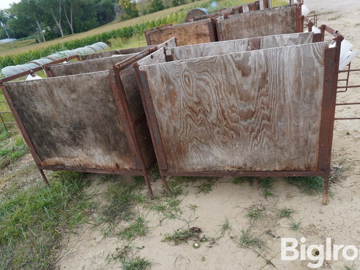 raised-calf-crates-image-8