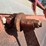 #1704-•-2006-abs-rc5-live-bottom-trailer-image-80