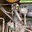 #1800-•-galion-2-stage-crane-truck-image-23