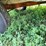 #4442-•-kicker-wagon-image-11