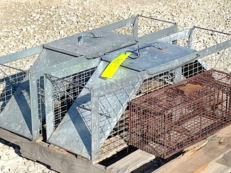 3--live-traps-image-2