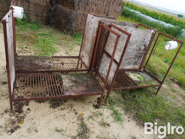 raised-calf-crates-image-4