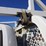 2019-ford-f350-image-22