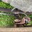#4421-•-international-eagle-grain-truck-(no-title)-image-50
