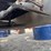 #5024-•-western-truck-salter/sander-image-7