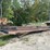 #153-•-pats-barn-sweep-conveyor-image-3