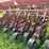 #4455-•-case-5400-soybean-special-grain-drill-image-7