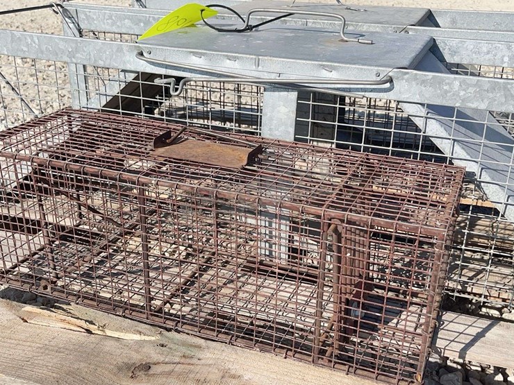 3--live-traps-image-5