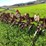 #4474-•-ih-153-cultavator-image-5