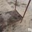 raised-calf-crates-image-10