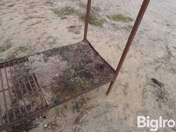 raised-calf-crates-image-10