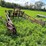#4427-•-boom-sprayer-image-1