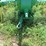 1936-john-deere-b-image-8