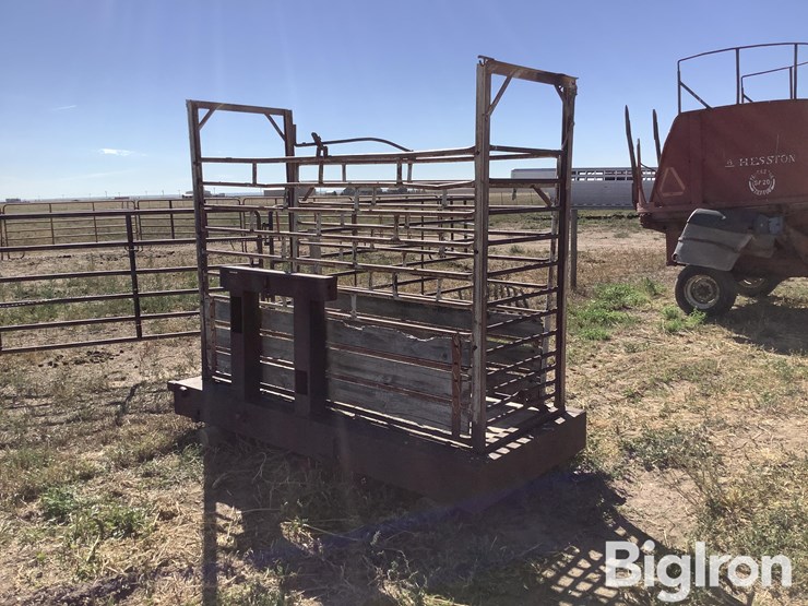 ww-800-livestock-scale-image-3