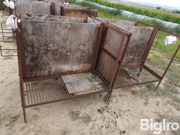 raised-calf-crates-image-4