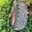#4441-•-kicker-wagon-image-13