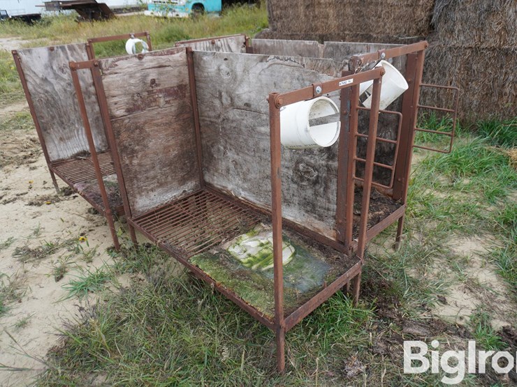 raised-calf-crates-image-3