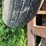 new-holland-355-image-24
