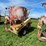 new-holland-355-image-4