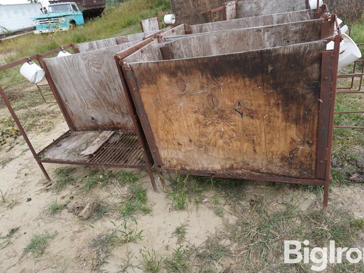 raised-calf-crates-image-4
