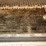 #152-•-gangsaw-outfeed-belt-conveyor-image-9