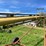 #4476-•-westfield-80-51-auger-elevator-image-18