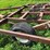 #4463-•-brady-(10)-tooth-chisel-plow-image-11