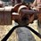 #1889-•-1957-allis-chalmers-c-tractor-image-31