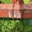 #4474-•-ih-153-cultavator-image-9