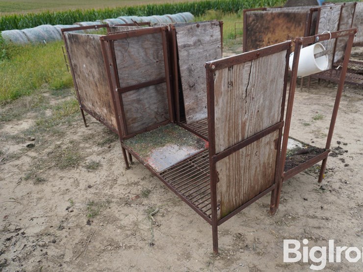 raised-calf-crates-image-7